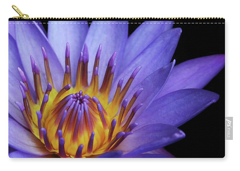 Waterlily Zip Pouch featuring the photograph The Singular Embrace by Sharon Mau