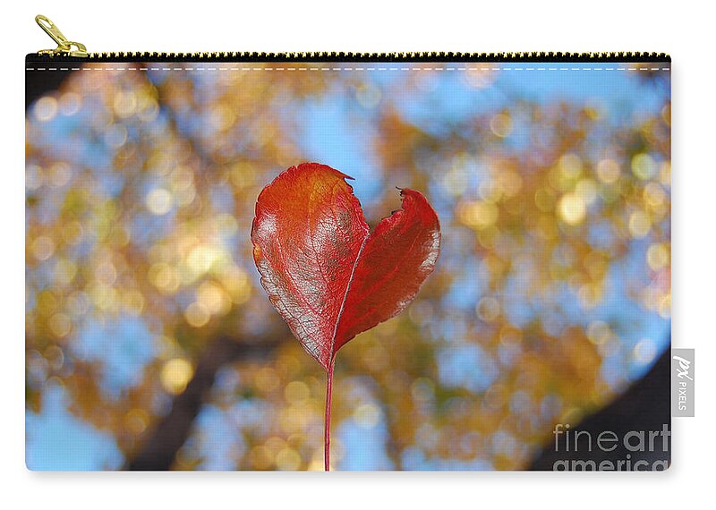 Heart Zip Pouch featuring the photograph The Splendor of Fall by Debra Thompson