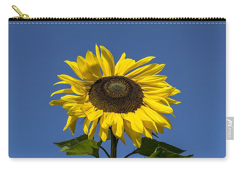 Sunflower Zip Pouch featuring the photograph The Sunflower by Scott Carruthers