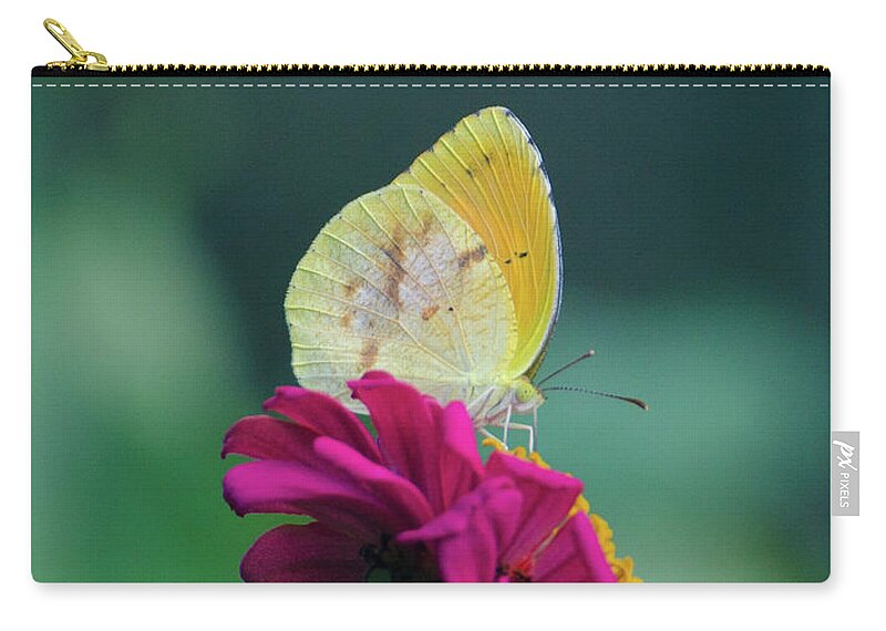Insect Zip Pouch featuring the photograph The Sweet Spot by Donna Brown