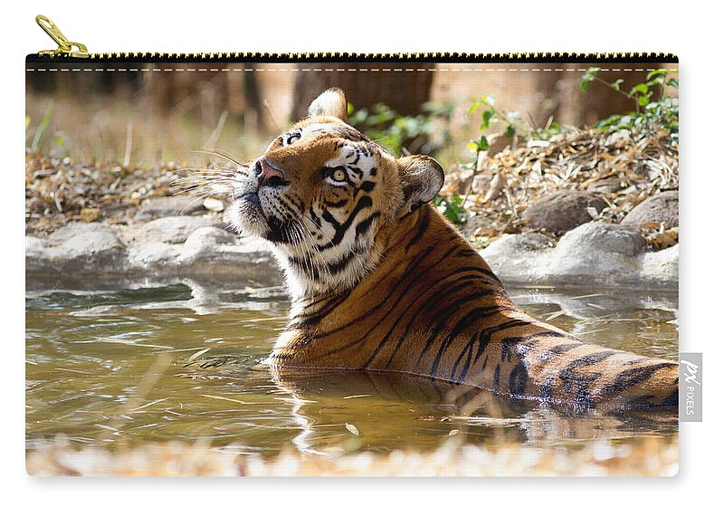 Wildcat Zip Pouch featuring the photograph The Thinker by Ramabhadran Thirupattur