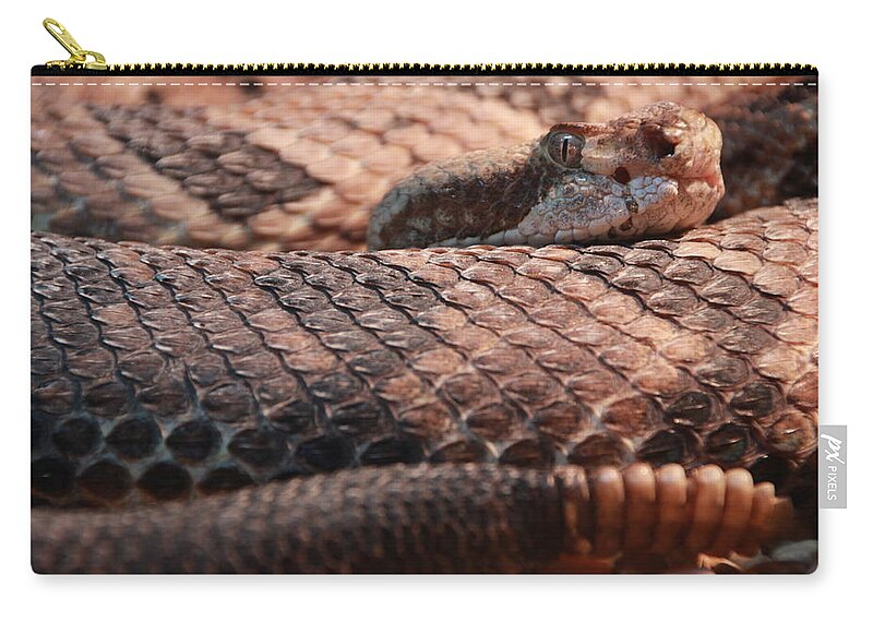 Animal Zip Pouch featuring the photograph The Timber Rattlesnake by Michael Symons