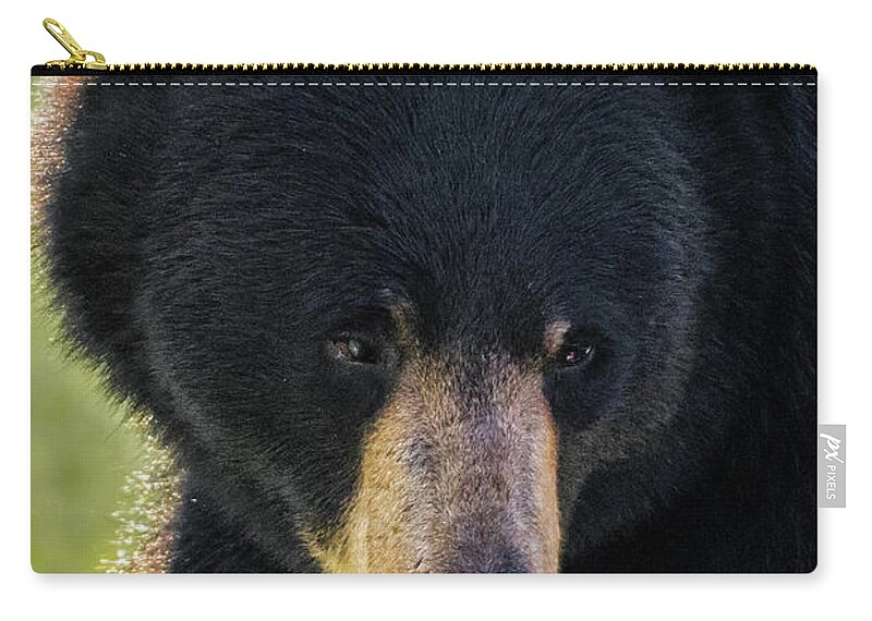 Bear Zip Pouch featuring the photograph The Tongue by Bill Wakeley