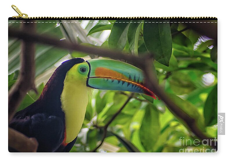 Michelle Meenawong Zip Pouch featuring the photograph The Toucan by Michelle Meenawong