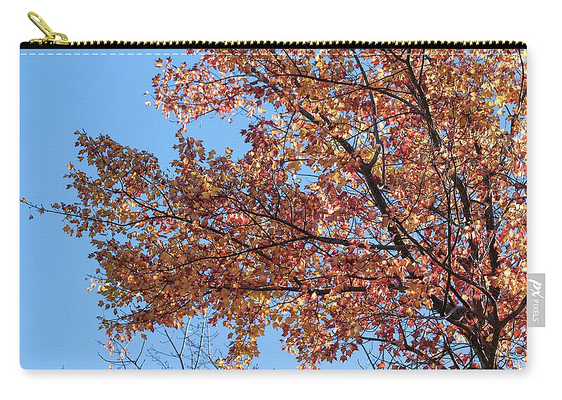 Tree Tops Zip Pouch featuring the photograph The Tree Tops 5 - by Julie Weber