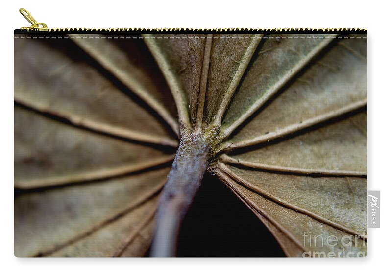 Michelle Meenawong Zip Pouch featuring the photograph The Veins Of A Leaf by Michelle Meenawong