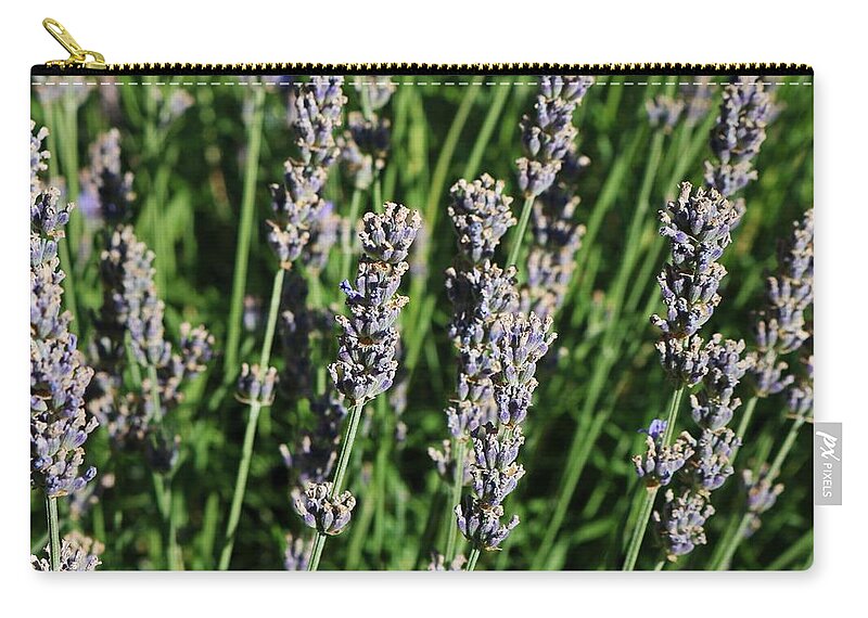 Lavender Zip Pouch featuring the photograph The Whisper in My Heart by Michiale Schneider