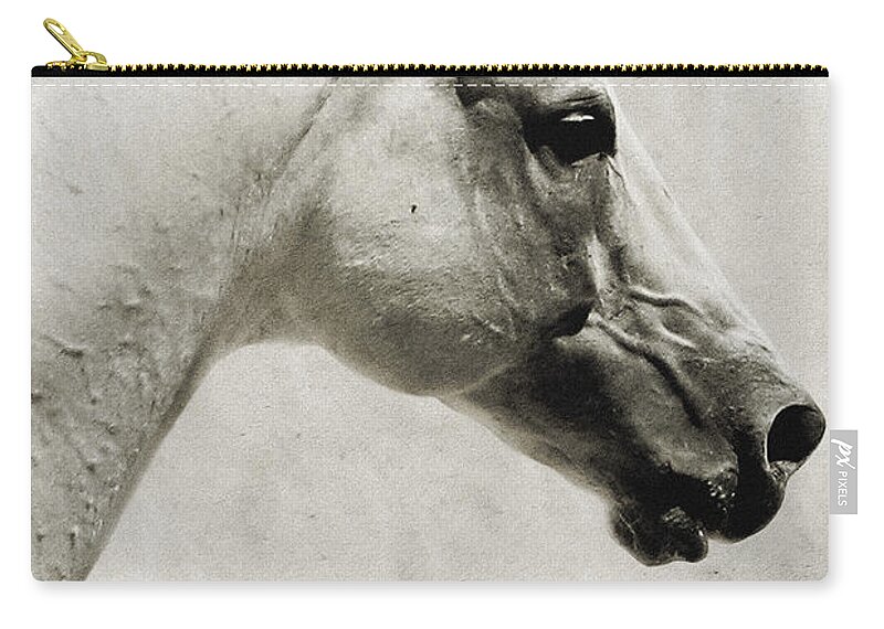 Andalusian Zip Pouch featuring the photograph The White Horse III - Art Print by Dimitar Hristov