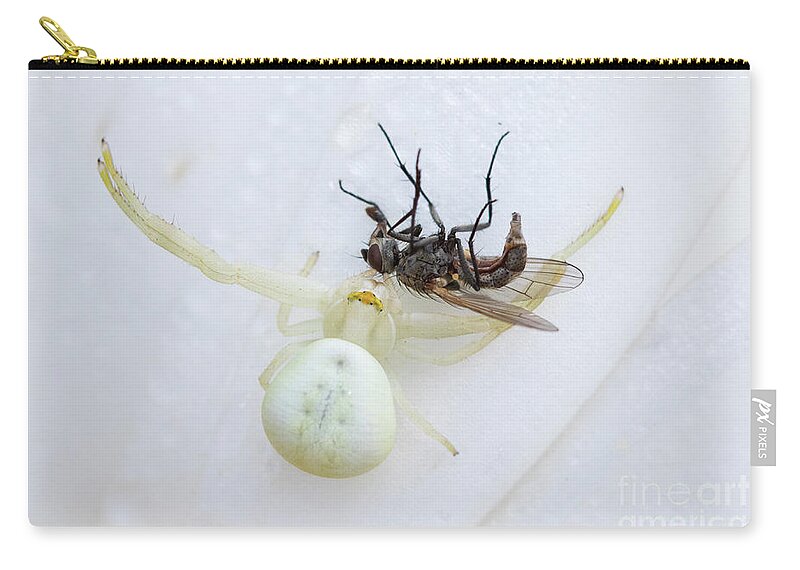The White Killer Zip Pouch featuring the photograph The White Killer by Mircea Costina Photography