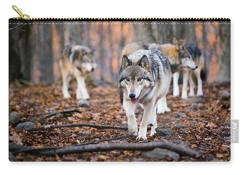 Wolves Carry-all Pouch featuring the photograph The Wolfpack by Mark Rogers