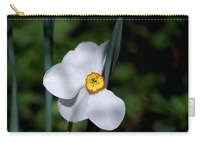 Becky Furgason Zip Pouch featuring the photograph #themysteryinlovewithitself by Becky Furgason