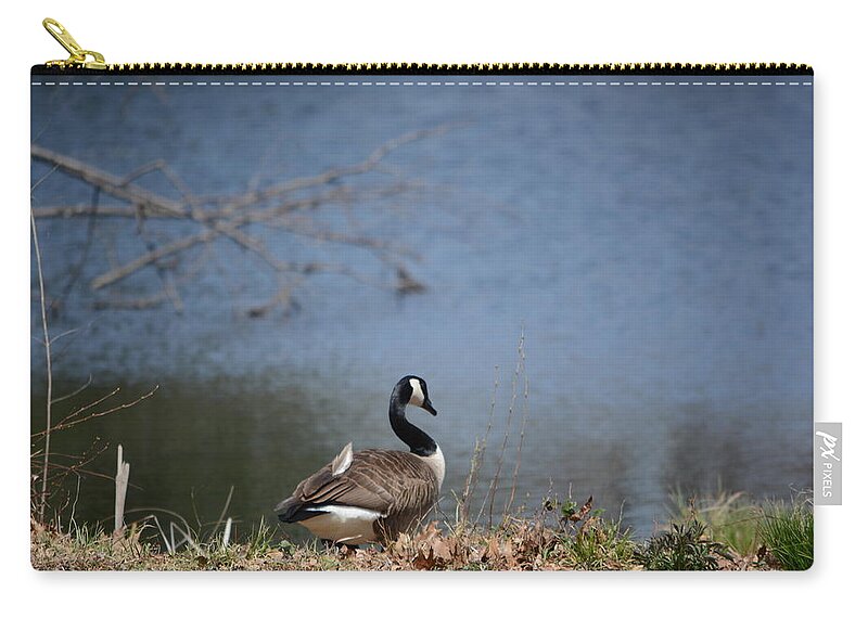 Canadian Geese Zip Pouch featuring the photograph Thinking Odd Feather by Dani McEvoy