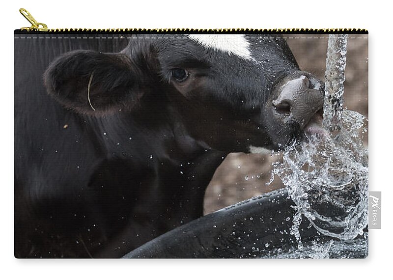 Cow Zip Pouch featuring the photograph Thirsty Cow by Holden The Moment