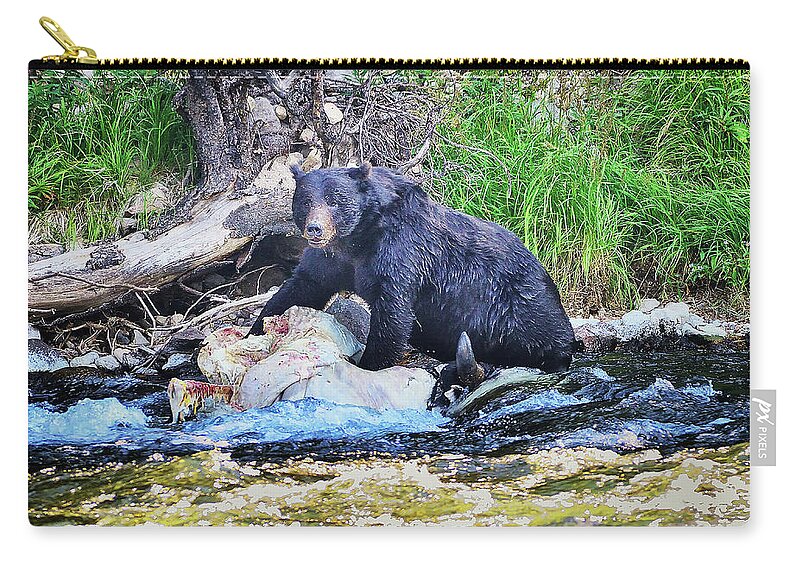 Grizzly Zip Pouch featuring the photograph This Is Mine by Greg Norrell