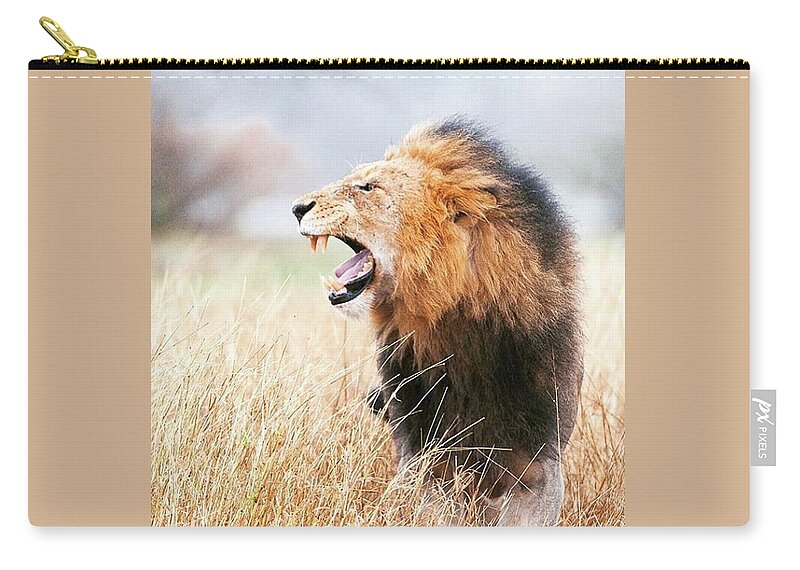 Lion Zip Pouch featuring the photograph This Is Power by Happy Home Artistry