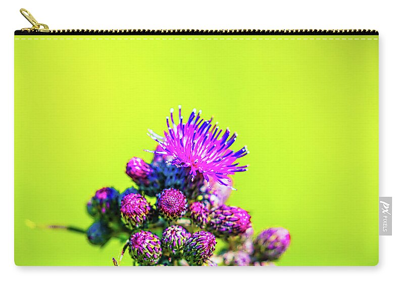 Flower Zip Pouch featuring the photograph Thistle June 2016. by Leif Sohlman