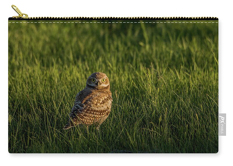 Sunset Zip Pouch featuring the photograph Those Big Eyes At Sunset by Yeates Photography
