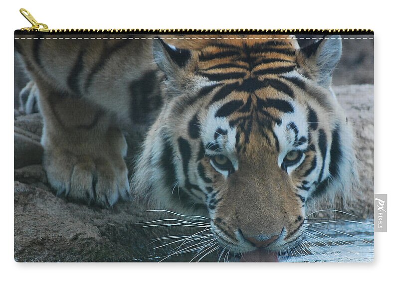 Fine Art Zip Pouch featuring the photograph Those Eyes by Maggy Marsh