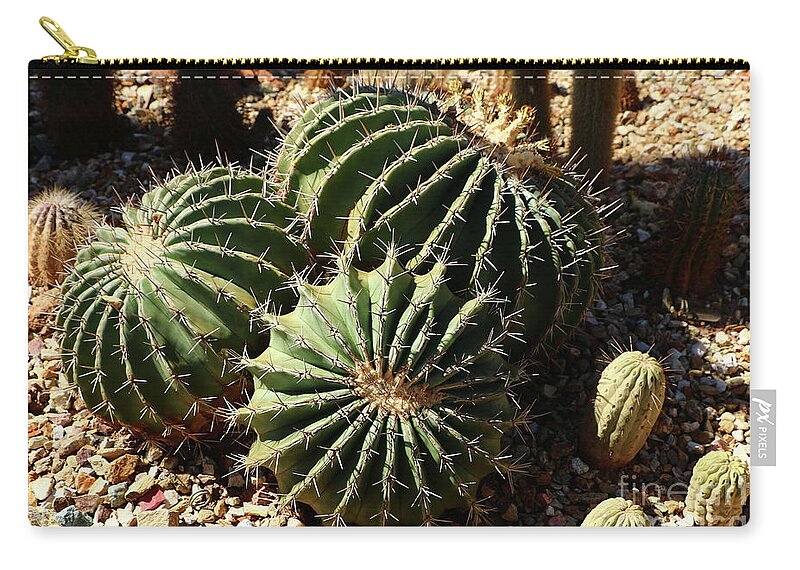 Cactus Zip Pouch featuring the photograph Three Amigos by Christiane Schulze Art And Photography