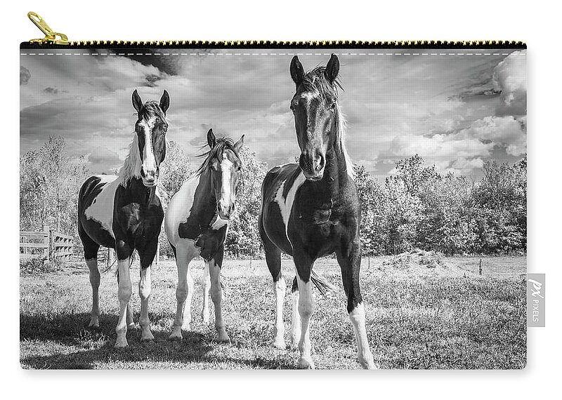 Horses Carry-all Pouch featuring the photograph Three Amigos by Holly Ross