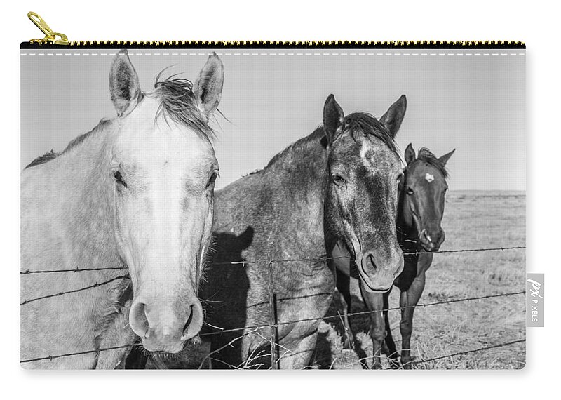 Texas Zip Pouch featuring the photograph Three Amigos by SR Green
