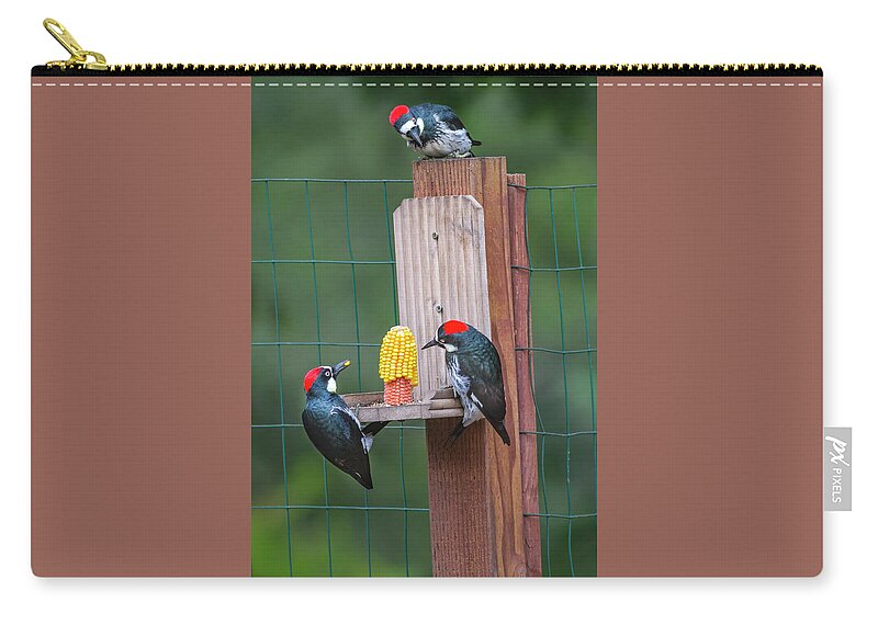 Mark Miller Photos Zip Pouch featuring the photograph Three Backyard Woodpeckers by Mark Miller