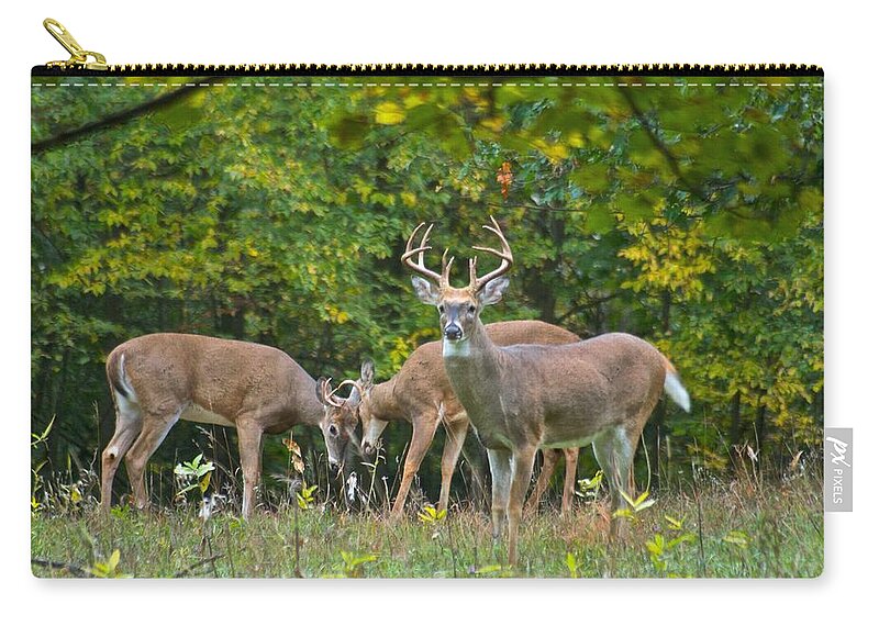 Three Zip Pouch featuring the photograph Three Bucks_0054_4463 by Michael Peychich