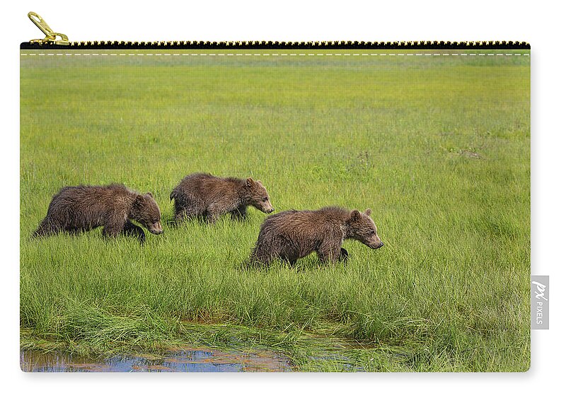 Grizzly Bears Zip Pouch featuring the photograph Three Cubs Moving On by Mark Harrington