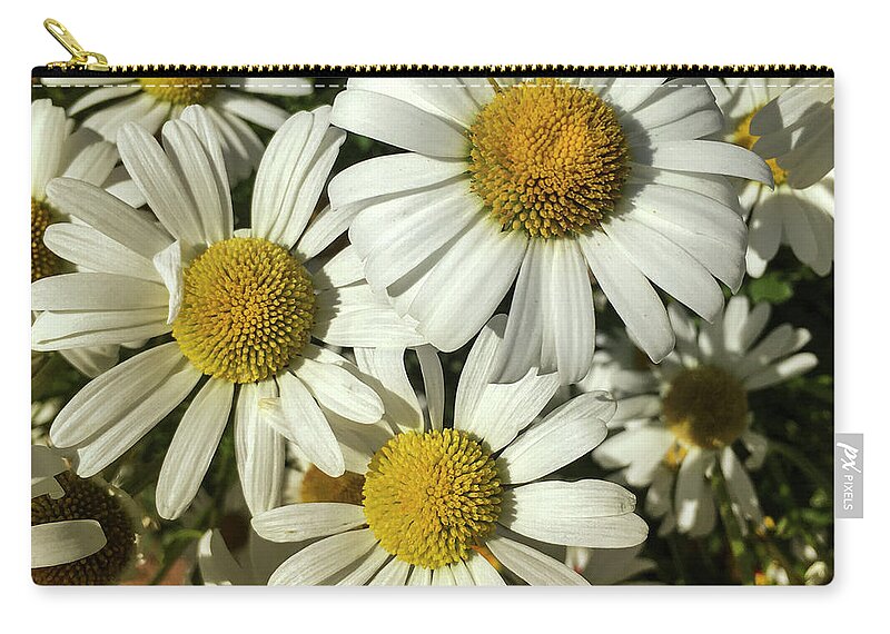 Flowers Zip Pouch featuring the photograph Three Daisies by Garry McMichael