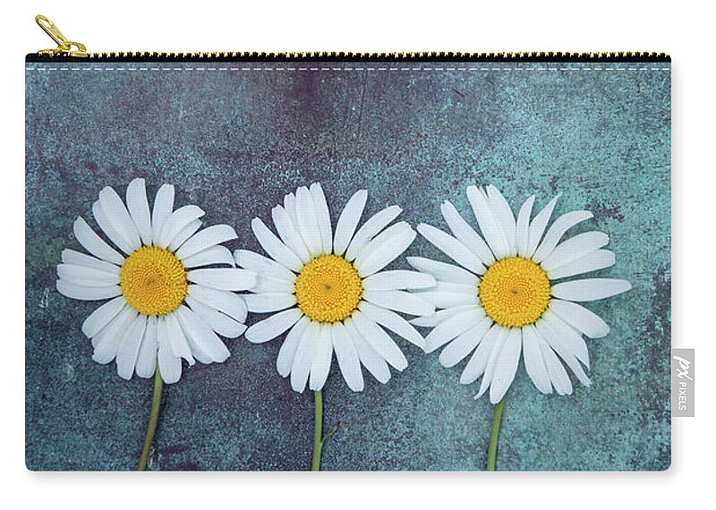 Beauty Zip Pouch featuring the photograph Three Daisies by Maria Heyens