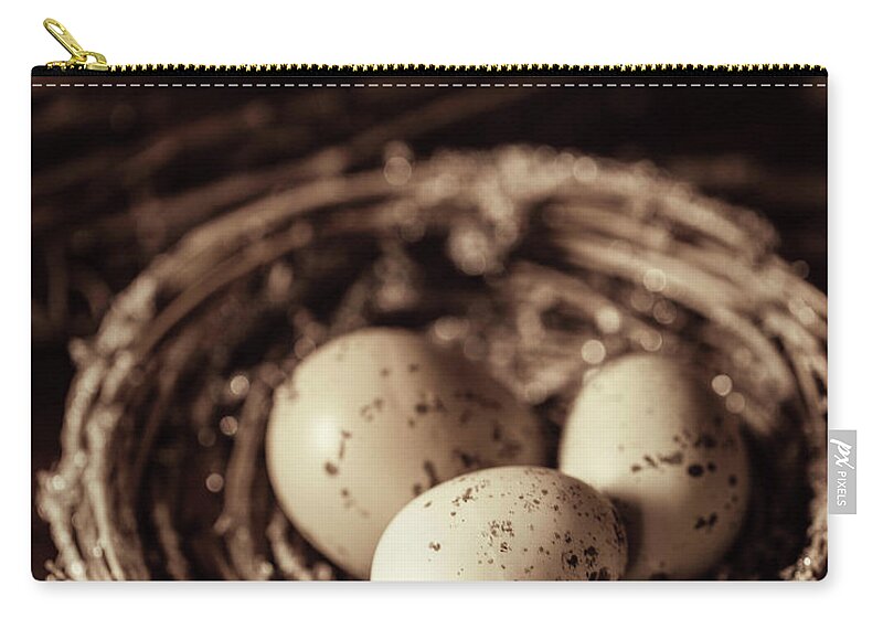 Eggs Zip Pouch featuring the photograph Three Eggs in a Nest by Rebecca Cozart