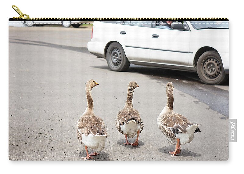 Geese Zip Pouch featuring the photograph Three Geese by Timothy Anable