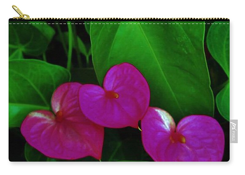 Tropical Flowers Zip Pouch featuring the photograph Three Hearts by Craig Wood