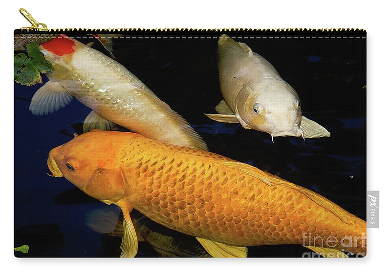 Koi Zip Pouch featuring the photograph Three Large Koi by Sherry Curry