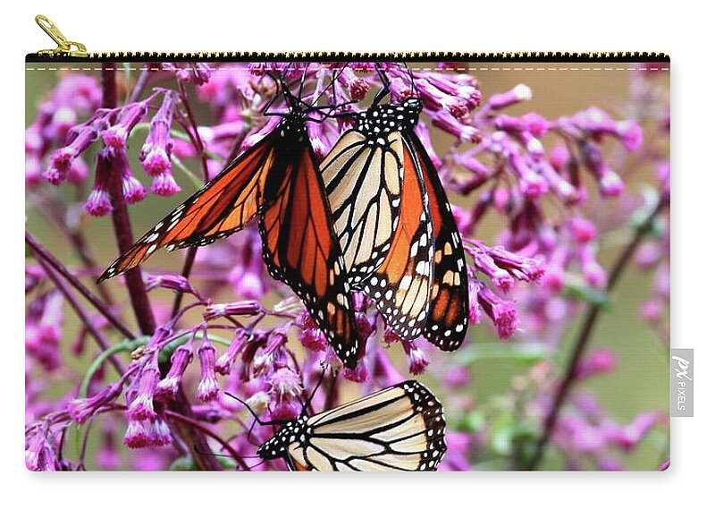 Nature Zip Pouch featuring the photograph Three Monarch Butterflies by Robert McKinstry