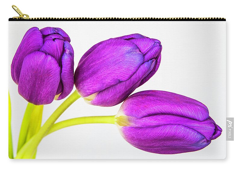 Photographic Art Carry-all Pouch featuring the photograph Three Tulips by John Roach