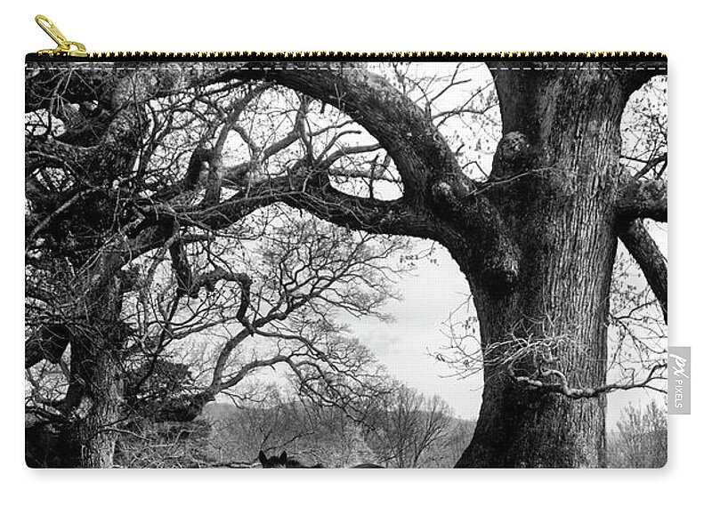 Horses Zip Pouch featuring the photograph Three Under A Tree In Black and White by Greg and Chrystal Mimbs