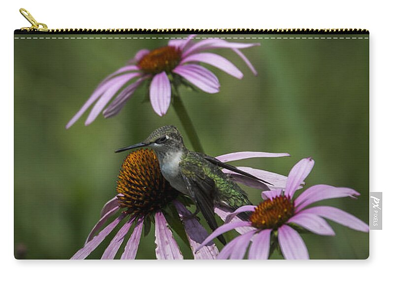 Bird Zip Pouch featuring the photograph Thrice As Nice by Andrea Silies