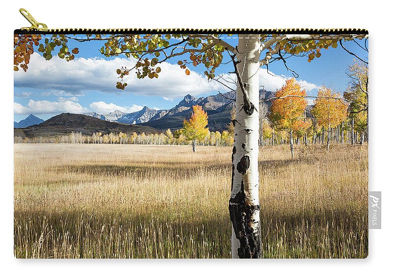 Aspen Zip Pouch featuring the photograph Through The Aspen Trees by Denise Bush