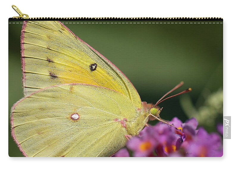 Butterfly Zip Pouch featuring the photograph Tickled Pink by Shelley Neff