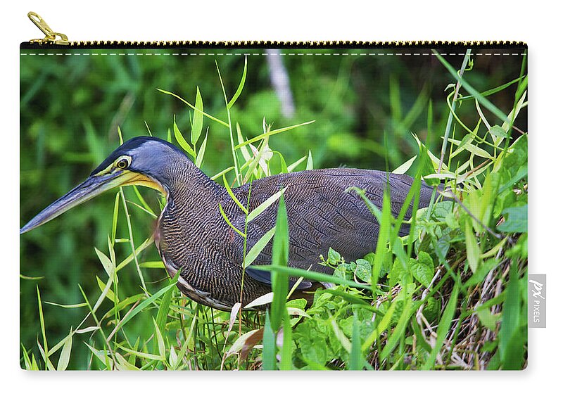 Nature Zip Pouch featuring the photograph Tiger Heron 2 by Arthur Dodd