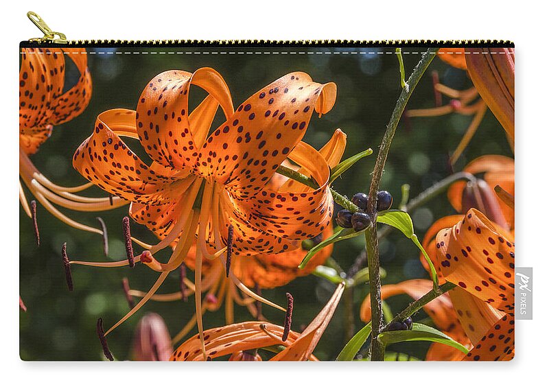 Tiger Lilies Zip Pouch featuring the photograph Tiger Lilies in the Sun by Lynn Hansen