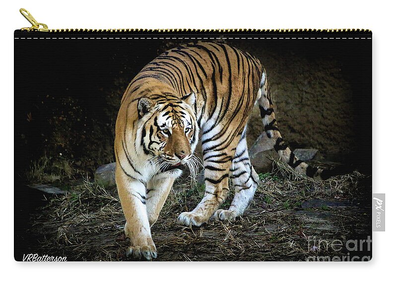 Tiger Zip Pouch featuring the photograph Tiger Stripes Memphis Zoo by Veronica Batterson