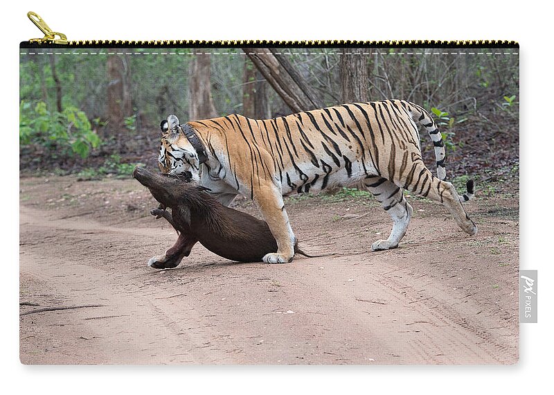 Tigress Zip Pouch featuring the photograph Tigress with the Kill by Fotosas Photography