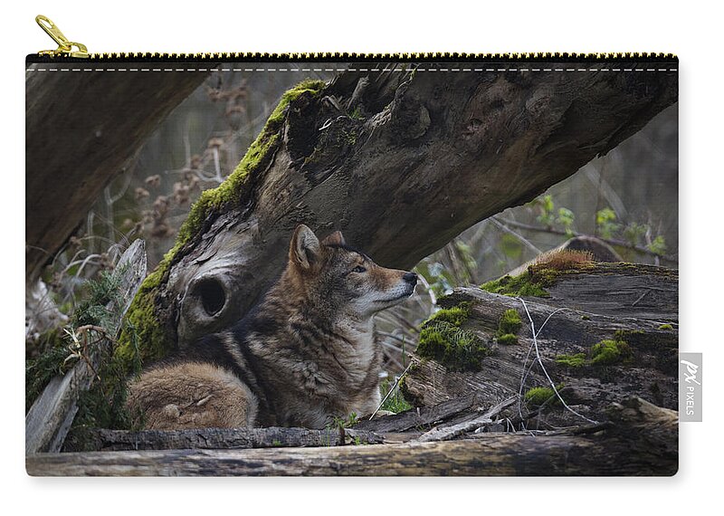 Timber Wolf Zip Pouch featuring the photograph Timber Wolf by Randy Hall