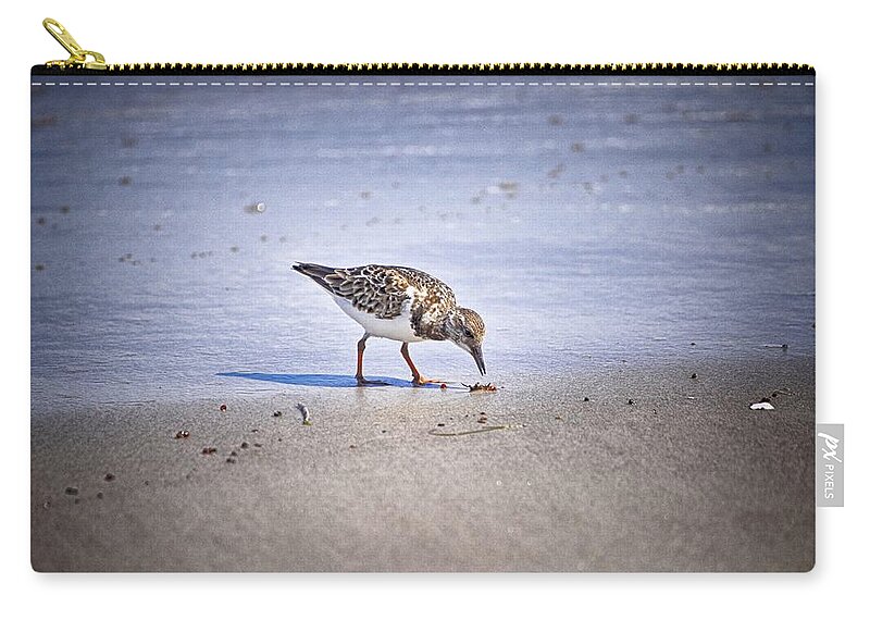 Bird Walk Zip Pouch featuring the photograph Time to Dine by Kristina Deane
