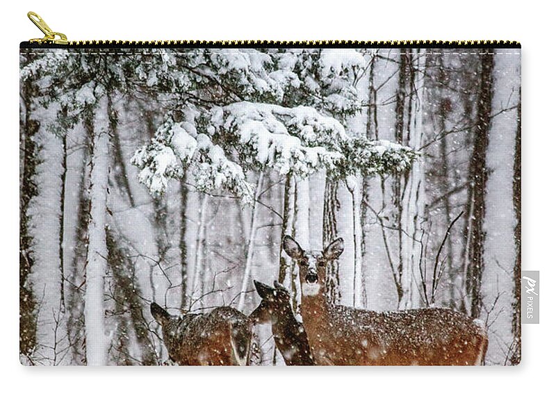 Time To Go Zip Pouch featuring the photograph Time To Go by Karol Livote
