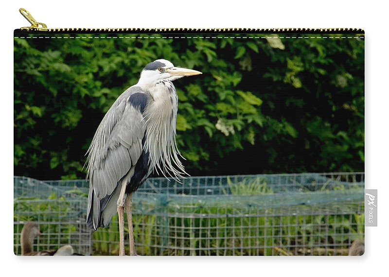 Heron Zip Pouch featuring the photograph Time to look smart. by Elena Perelman