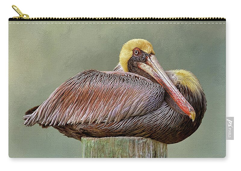 Brown Pelican Zip Pouch featuring the photograph Time To Rest by HH Photography of Florida