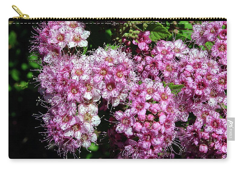 Spirea Zip Pouch featuring the photograph Tiny Pink Spirea Clusters by Tikvah's Hope